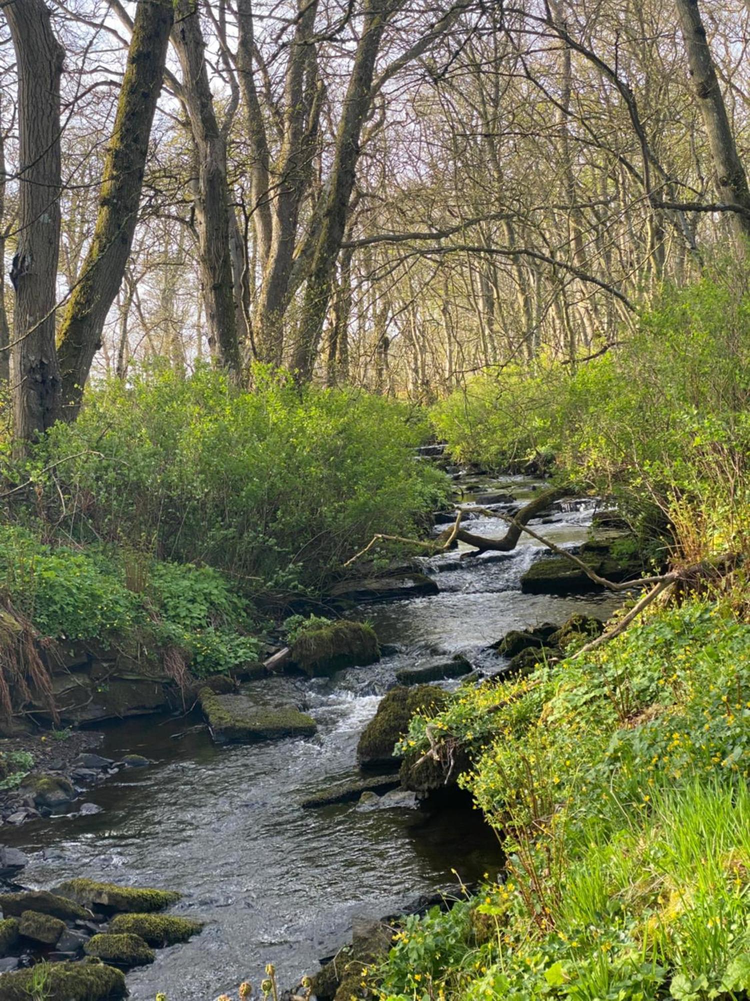 Forse Of Nature Latheron Dış mekan fotoğraf