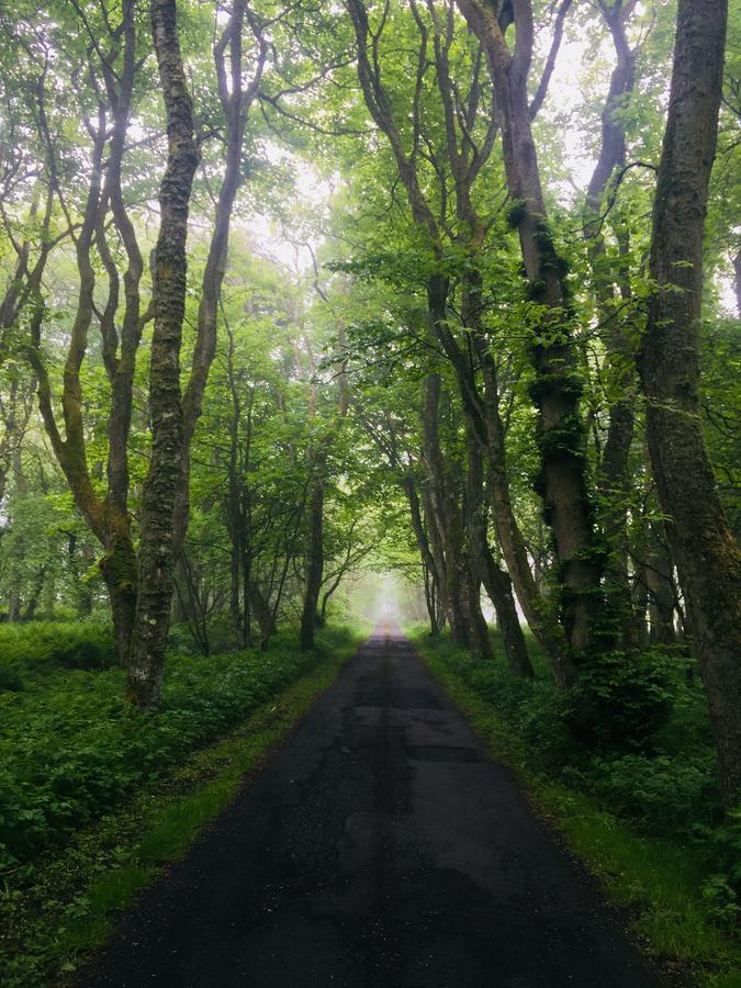 Forse Of Nature Latheron Dış mekan fotoğraf